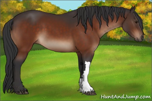 Horse Color:Brown 