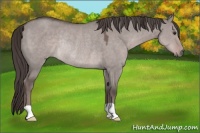 Horse Color:Platinum Liver Red Dun Rabicano 