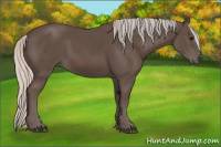 Horse Color:Silver Black 