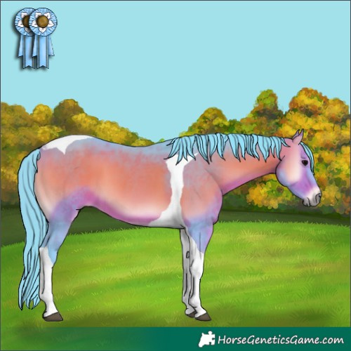 Horse Color:Watercolor Bay Onyx Tobiano 