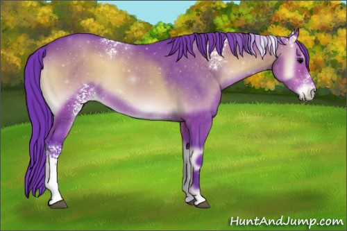 Horse Color:Watercolor White Spotted Brown Onyx 