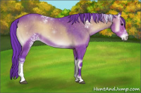 Horse Color:Watercolor White Spotted Brown Onyx 