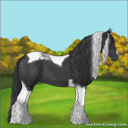 Horse Color:Black Tobiano 