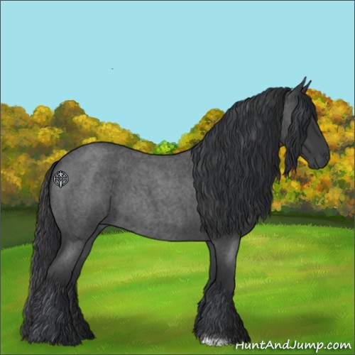 Horse Color:Blue Roan 
