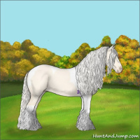 Horse Color:Cremello Dun Tobiano 