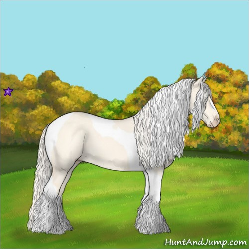 Horse Color:Cremello Dun Tobiano