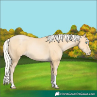 Horse Color:Silver Buckskin Pearl Tobiano 