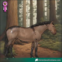 Horse Color:Liver Red Dun 