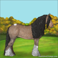 Horse Color:Liver Red Dun Tobiano 