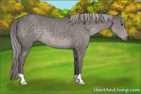 Horse Color:Platinum Chocolate Palomino 