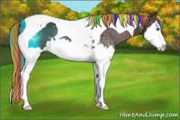 Horse Color:Painted Liver Chestnut Sabino Splash Tobiano Appaloosa
