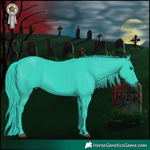 Horse Color:Watercolor Black 