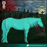 Horse Color:Watercolor Black 
