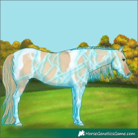 Horse Color:Thunderstruck Red Dun Tobiano 