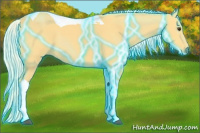 Horse Color:Thunderstruck Palomino Tobiano 