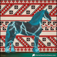Horse Color:Thunderstruck Black 