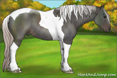 Horse Color:Silver Blue Roan Tobiano Rabicano 