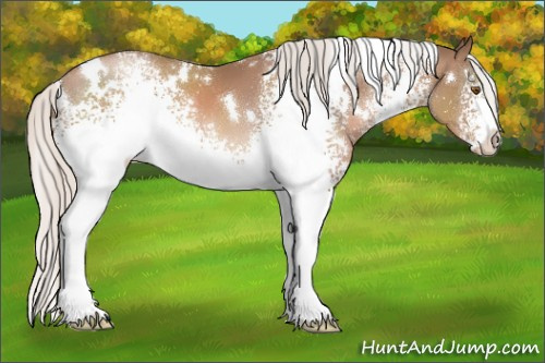 Horse Color:White Spotted Silver Black Pearl 