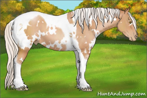 Horse Color:White Spotted Silver Brown Pearl Tobiano 