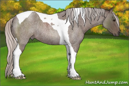 Horse Color:Silver Blue Roan Tobiano Rabicano 