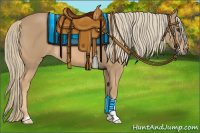 Horse Color:Chestnut Mushroom 