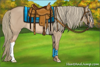 Horse Color:Red Dun Mushroom 