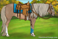 Horse Color:Chestnut Mushroom