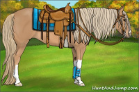 Horse Color:Chestnut Mushroom 