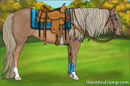 Horse Color:Chestnut Mushroom 