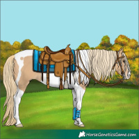 Horse Color:Chestnut Mushroom Tobiano 