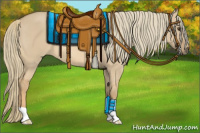 Horse Color:Red Dun Mushroom 