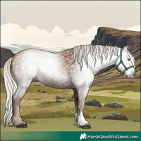 Horse Color:Gray Silver Black Pearl Tobiano Rabicano 