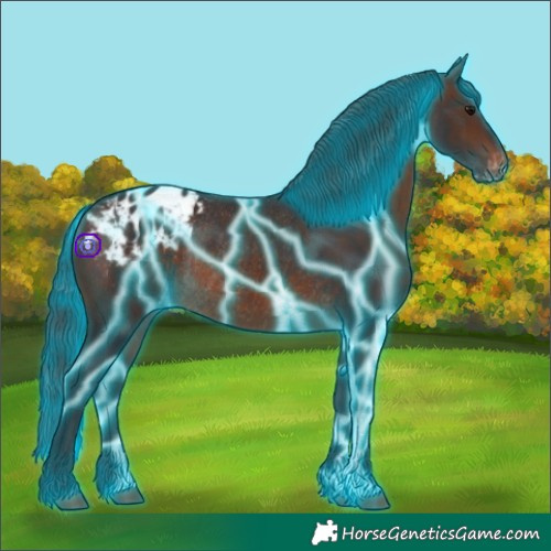Horse Color:Thunderstruck Brown Appaloosa Rabicano 