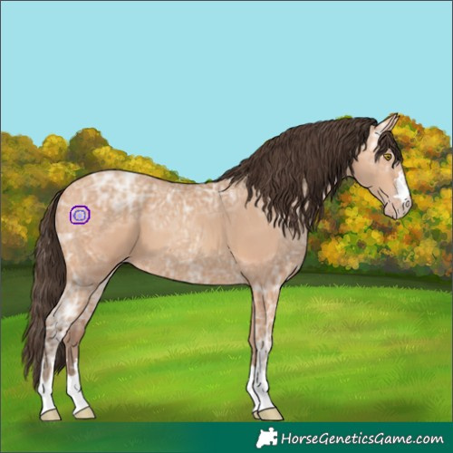 Horse Color:Amber Champagne Ice 