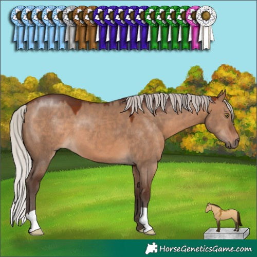 Horse Color:Silver Brown Dun 