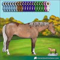 Horse Color:Silver Brown Dun 