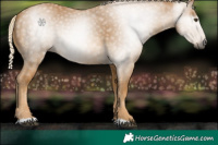 Horse Color:Gray Palomino