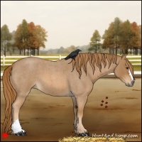 Horse Color:Red Roan 