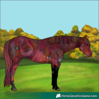 Horse Color:ERROR: UNKNOWN ANOMALY