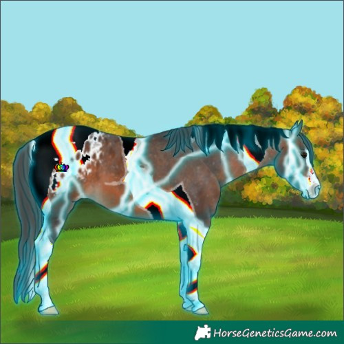 Horse Color:Thunderstruck Brown Sabino Tobiano Varnish