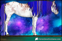 Horse Color:Painted Red Onyx Ice Splash Tobiano Appaloosa