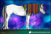 Horse Color:Painted Liver Red Onyx Ice Roan Splash Appaloosa 