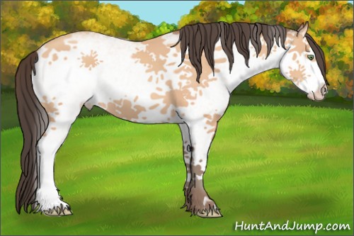 Horse Color:White Spotted Amber Champagne 