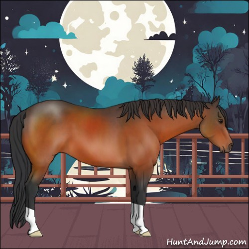 Horse Color:Brown 