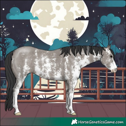 Horse Color:Grullo Sabino 