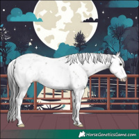 Horse Color:Grullo Sabino Rabicano 