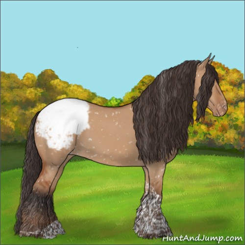 Horse Color:Bay Dun Tobiano Appaloosa Rabicano 