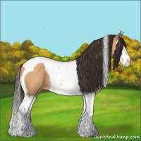 Horse Color:Bay Dun Splash Tobiano Varnish 