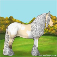 Horse Color:Silver Buckskin Dun Tobiano Appaloosa 