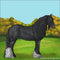 Horse Color:Black Tobiano Snowflake Varnish